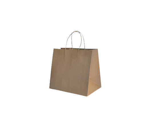 UBER Size Meal delivery Twisted handle bags /small 280x280x160 mm (250)