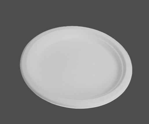 10" Sugarcane Round Plates (500pcs/ctn)