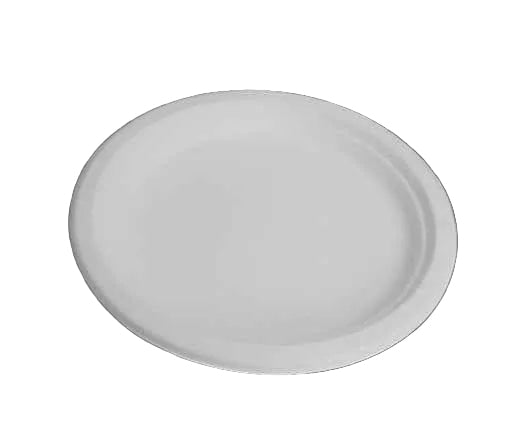 10" Sugarcane Round Plates (500pcs/ctn)