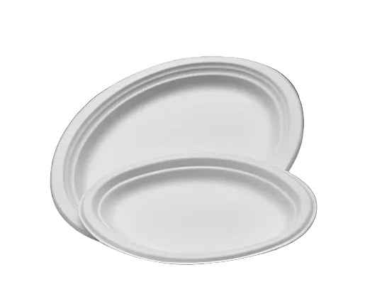 Oval Sugarcane Medium Plate (10 x 8) (500pcs/ctn)