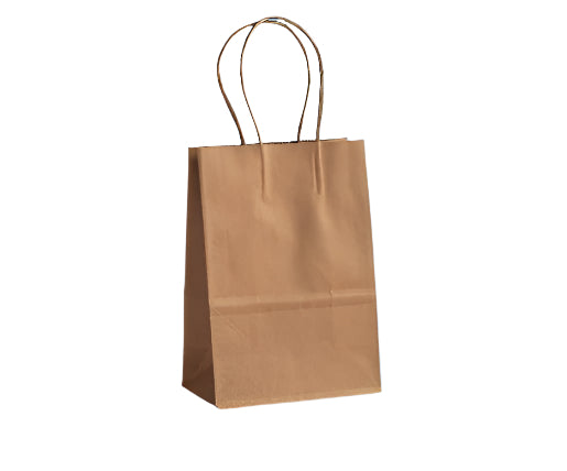 A brown kraft paper shopping bag with a twisted paper handle.