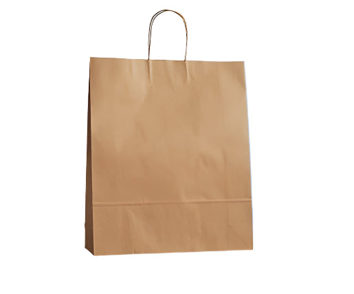 A brown kraft paper carry bag with a twisted paper handle.