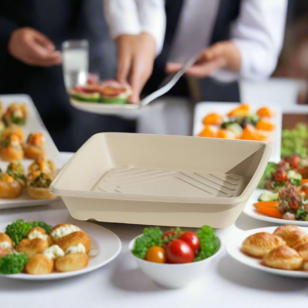 Unbleached Sugarcane Platter /Small (100pc/ctn )