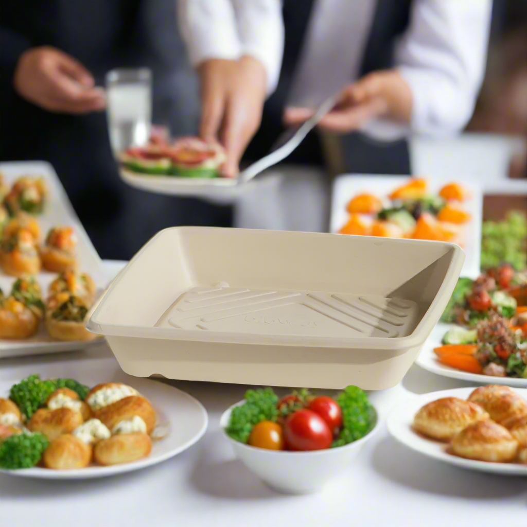 Unbleached Sugarcane Platter /Small (100pc/ctn )