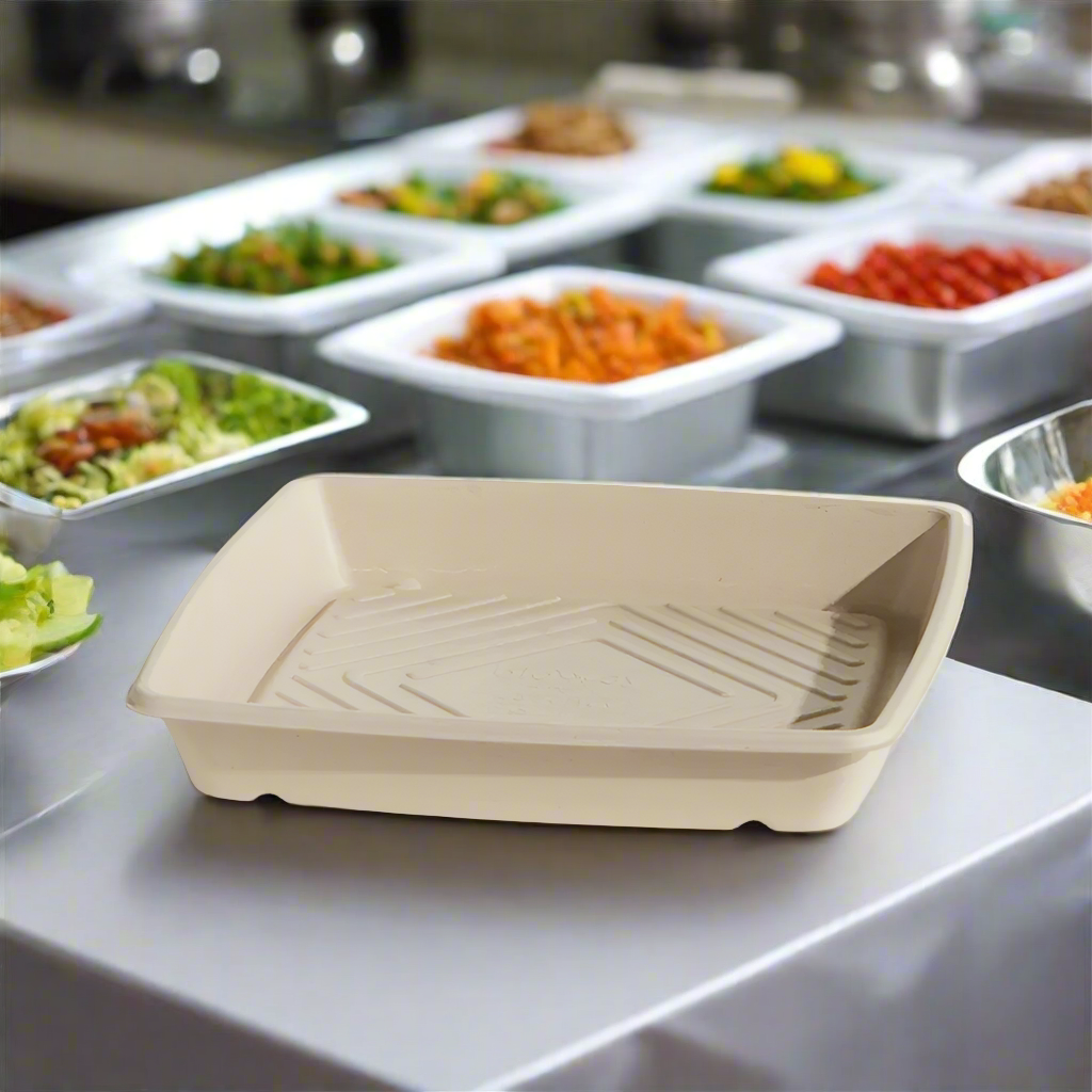 Unbleached Sugarcane Platter/ Medium (100pc/ctn )