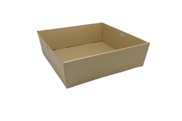 Square Catering Tray - Medium 250x250x80 mm (100pcs/ctn) -