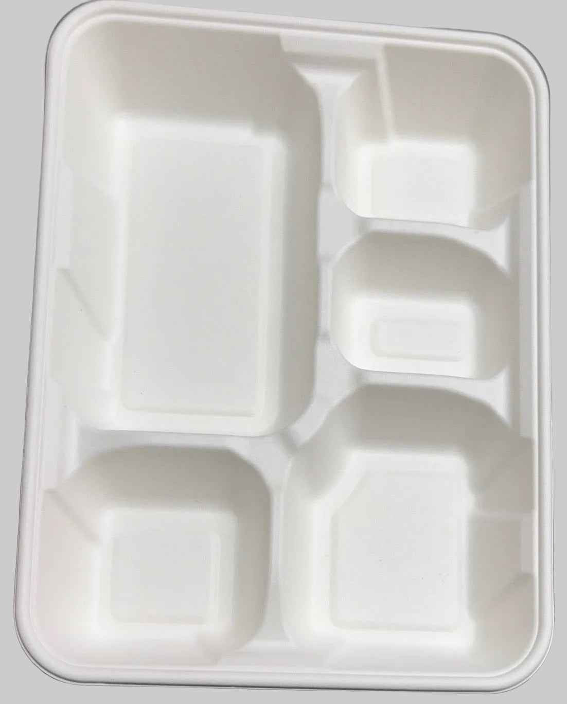 5 Compartment Sugarcane tray