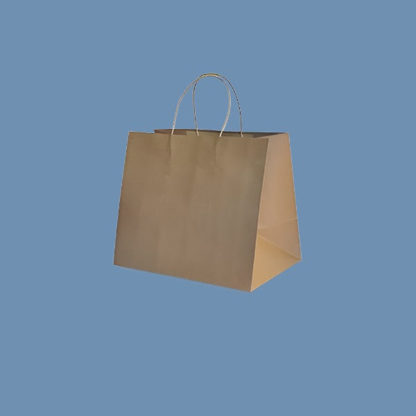 Meal delivery Bags / Medium 305 X 305x175mm (250) Uber size