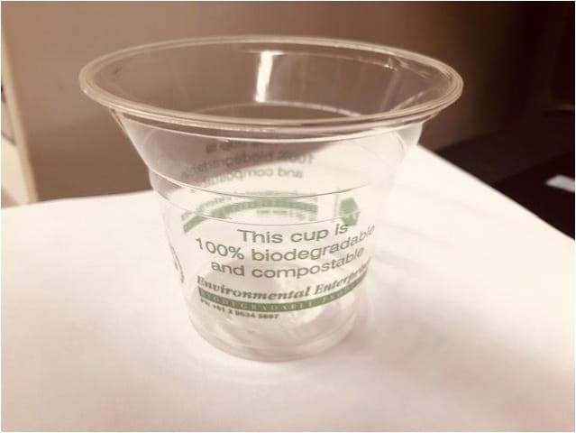 300ml PLA Clear Cups (1000) - PLA Clear Cold Cups